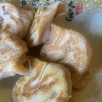 Organic dumplings   at Dumpling the Noodle in Seattle
