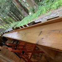 Gorgeous view  at Hongu Cafe in Nikko