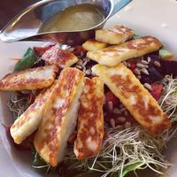 Tofu at Tree of Life in Safed