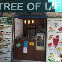 Tree of Life at Tree of Life in Safed