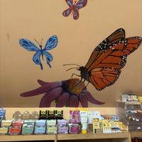   at The Good Earth Natural Foods in Indianapolis