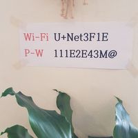 Wifi password 😁 at Asalam Restaurant in Jeju