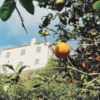 The house is surrounded by beautiful gardens, carefully being restored. We are 100% pesticide free at Solar Branco Eco Estate - The Green Pantry in Sao Miguel