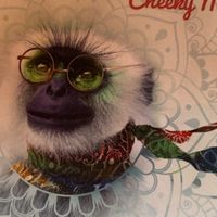   at Baboo Ji in Southampton