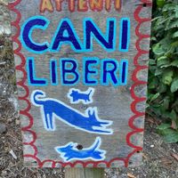  at La Becerca in Serra San Quirico