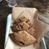 Cookie at 404Bristol in Bristol