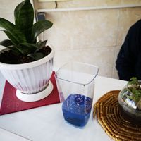 Abi noosh drink at Vegan Burger in Esfahan
