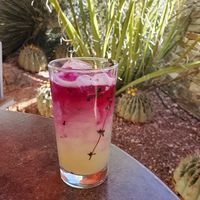 Seasonal drink at Gertrude's in Phoenix