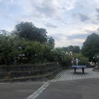 outside (table tennis available )  at Flora & Fauna in Stuttgart