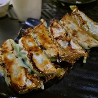 Gyoza at Kyoto Cafe in Ringwood