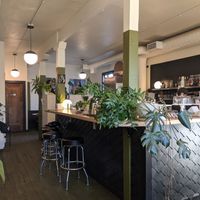 Many plants at Milkweed in Minneapolis