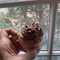  Vegan cupcake  at House of Cupcakes in Princeton