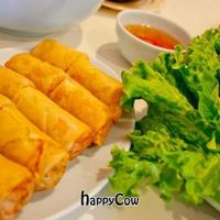 Vietnamese veggie egg rolls #28 at Thien Tam in El Monte