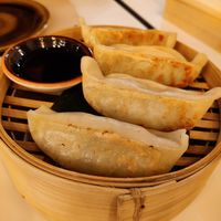 Gyozas at UDON in Santiago De Compostela
