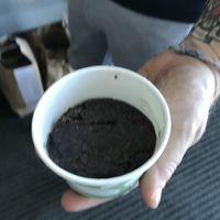 Side of beans = super small container, half-filled  at Gracias Madre in San Francisco