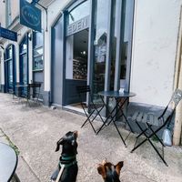 The cafe, with dog bowl 🐶   at Eden Cafe Clifton in Bristol