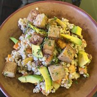 Azulilo Pintado  at Gaia Forest Cafe & Market in Granada