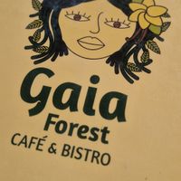  at Gaia Forest Cafe & Market in Granada