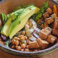  at Gaia Forest Cafe & Market in Granada