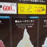 Vegan option at Yambaru in Okinawa