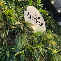 Woké at Woké in Louvain-la-neuve