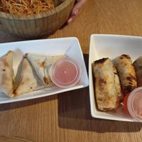 Spring rolls and samosas at Woké in Louvain-la-neuve