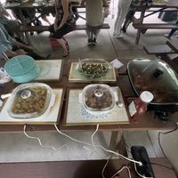   at Vegetarians of the Greater Youngstown Area in Youngstown