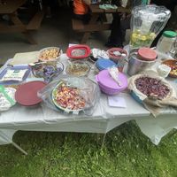   at Vegetarians of the Greater Youngstown Area in Youngstown