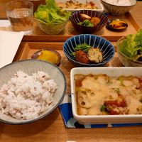 we had soy milk gratan vegan lunch was amazing! at Vege Sarah ベジさら食堂 in Fukuoka