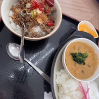 Soy meat and trice + vegan curry  at Sun Yamaki in Nozawaonsen
