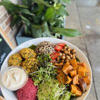   at Sprouts Organic Cafe in New Orleans