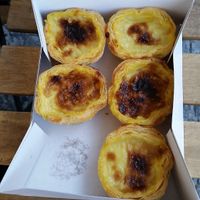 vegan pasteis de nata at Pastelaria Tupi in Porto