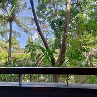  at Tanaman in Seminyak