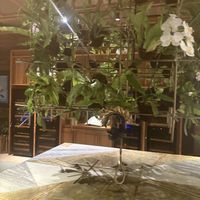   at Tanaman in Seminyak