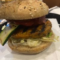   at Skassapanza in Turin