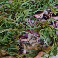 Vegane Mushrooms Pizza at Black Isle  in Fort William