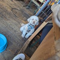  at Black Isle  in Fort William