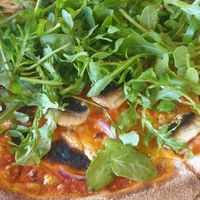 Vegan Tartuffo at Black Isle  in Fort William