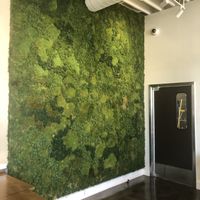 Green wall  at Love Organic Cafe in West Hollywood