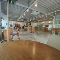  at Fig from Vegan 채식주의자의 무화과 in Jeonju