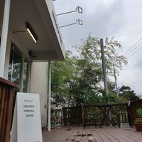 Patio at Fig from Vegan 채식주의자의 무화과 in Jeonju