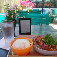 Panang Mole at Nitally's Thai-Mex Cuisine in St Petersburg