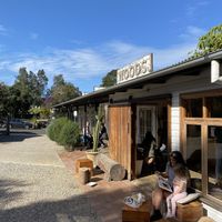 Setting at Woods in Bangalow