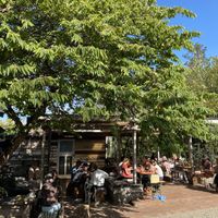 Garden  at Woods in Bangalow