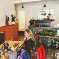 Vibes at Last Light Coffee in Blackpool