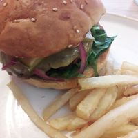 . at Last Light Coffee in Blackpool