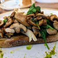 Mushrooms on sourdough at Last Light Coffee in Blackpool