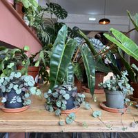   at Last Light Coffee in Blackpool