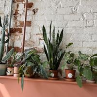   at Last Light Coffee in Blackpool