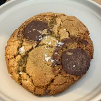 Cookie  at Last Light Coffee in Blackpool